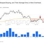 Strategy and Strive buy $183 million in Bitcoin as $85,000 rally revives treasury trade